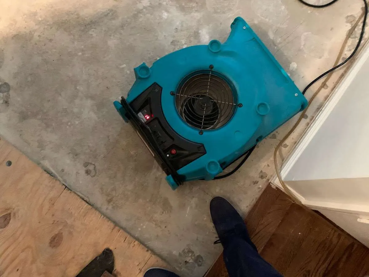 Air mover drying subfloor during Leak Detection & Repair in Medford